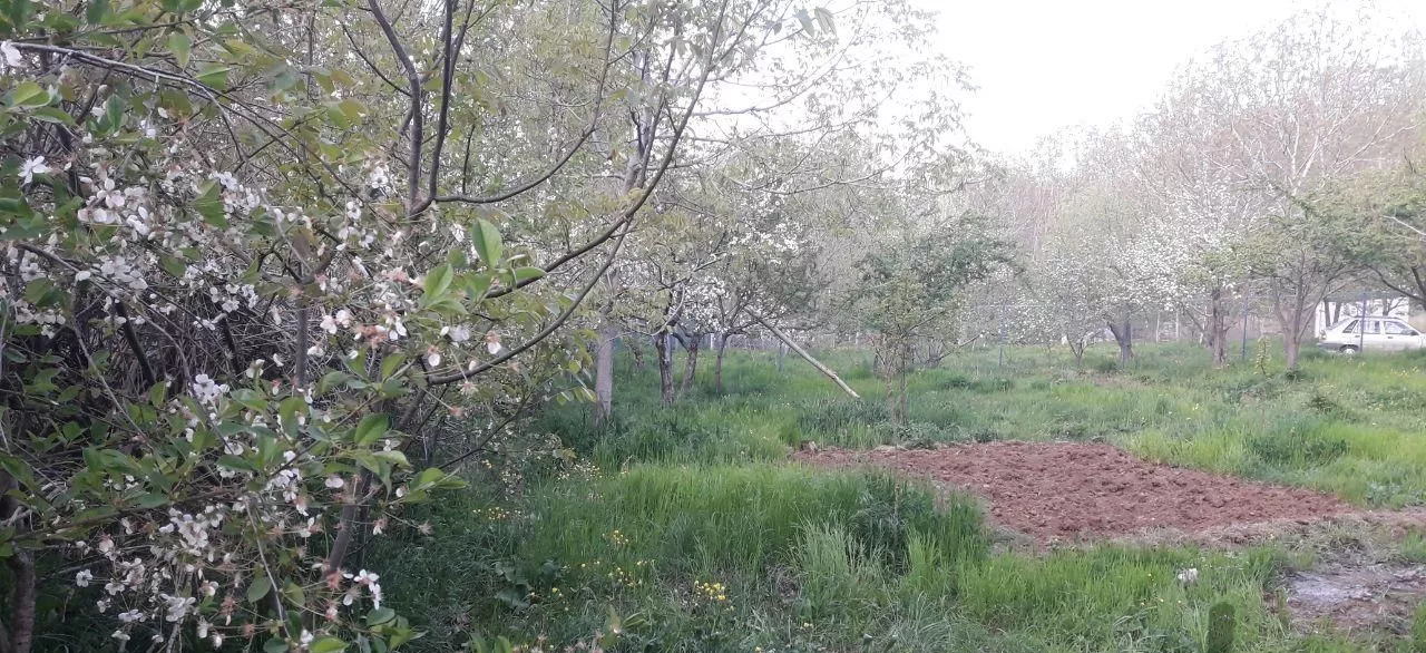 یک قطعه باغ در روستای توریستی گلجار