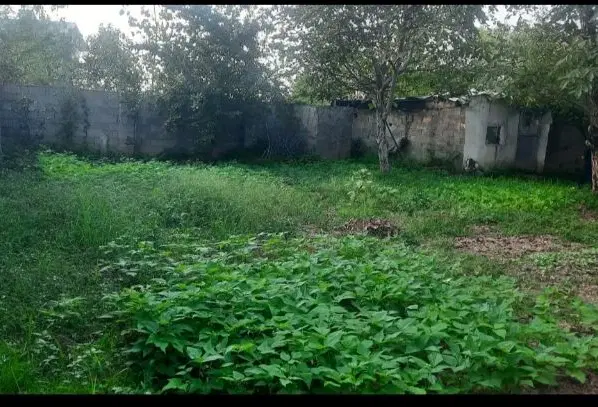 زمین 15 کیلومتری رشت،نوخاله