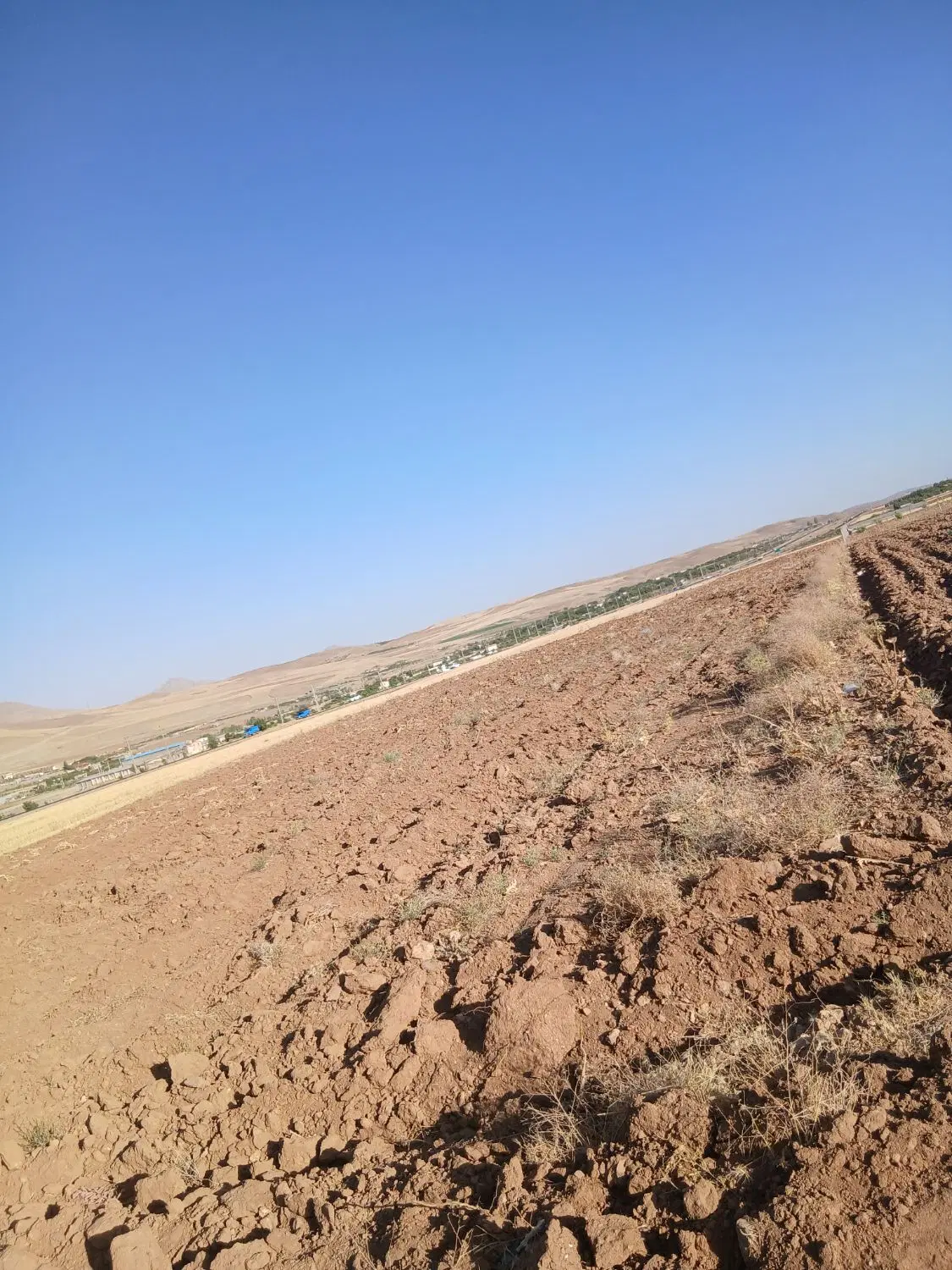 زمین دیم کشاورزی مناسب