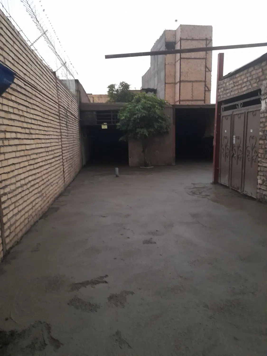 کارگاه دربست