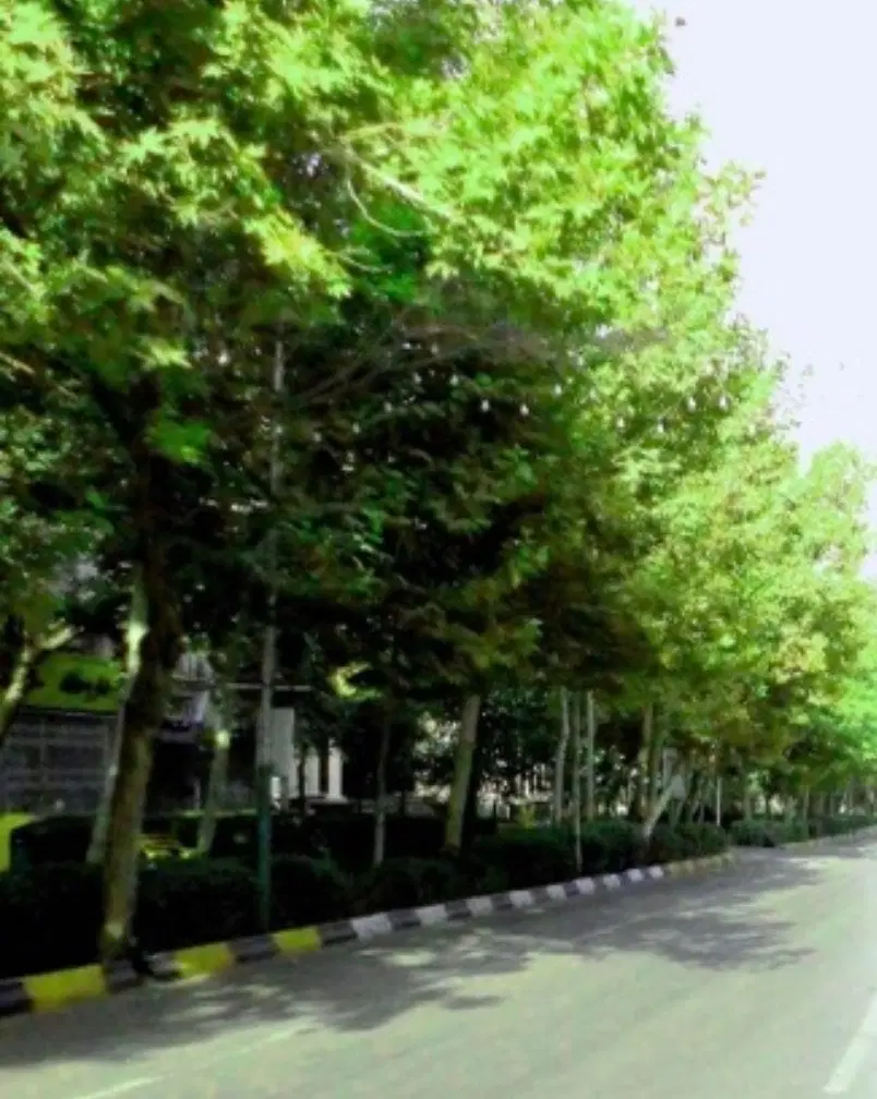 فروش مغازه