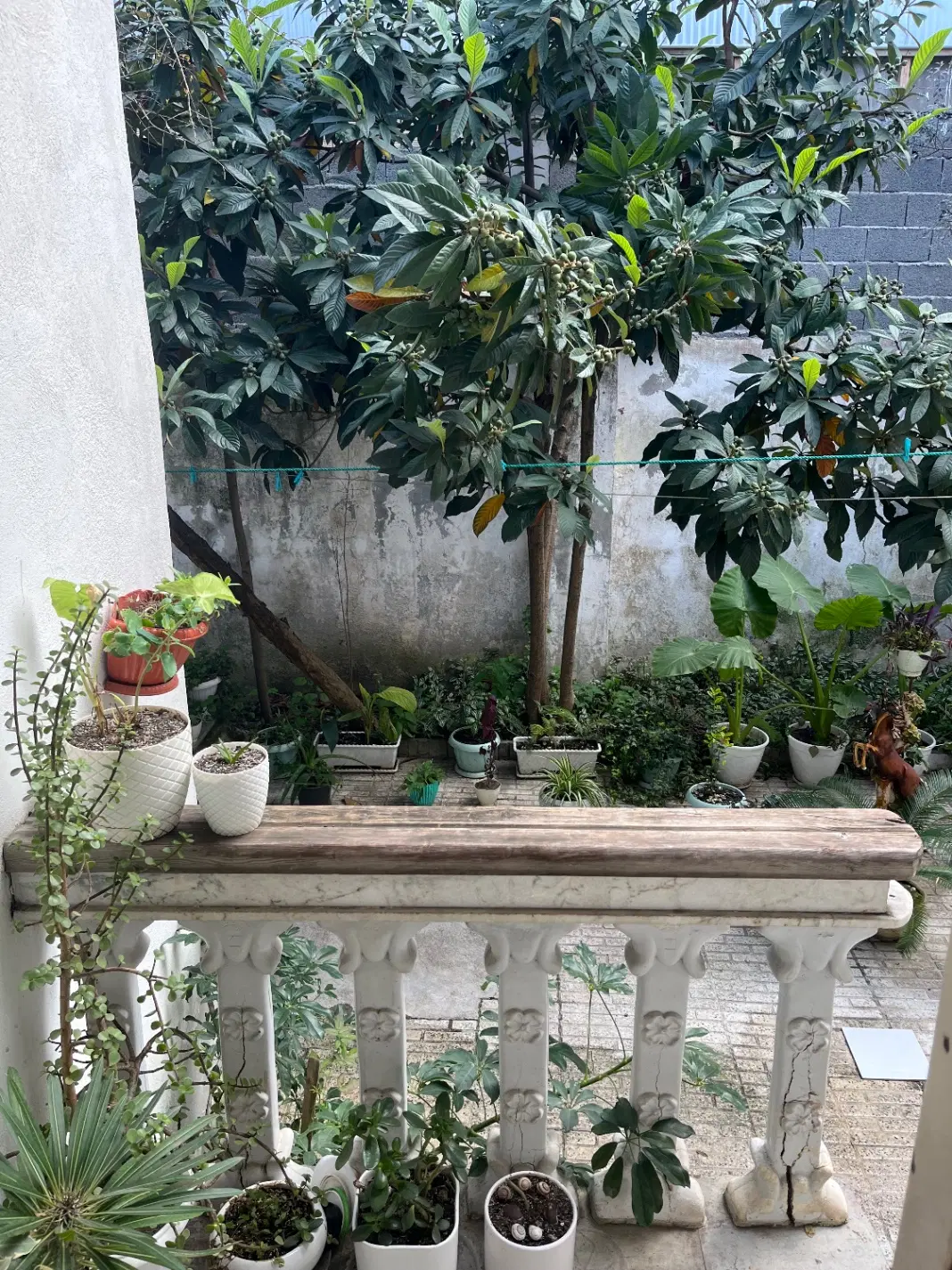 خانه ویلایی ۱۴۹ متری دو بر
