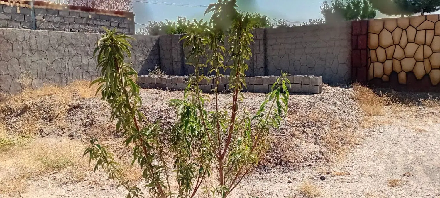 زمین باغی