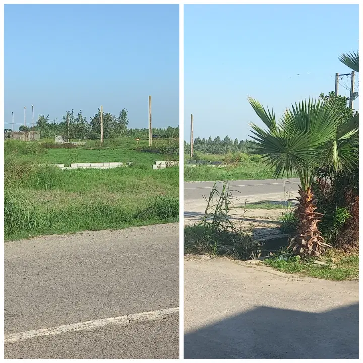 فروش محدود چند قطعه زمین در شمال کشور