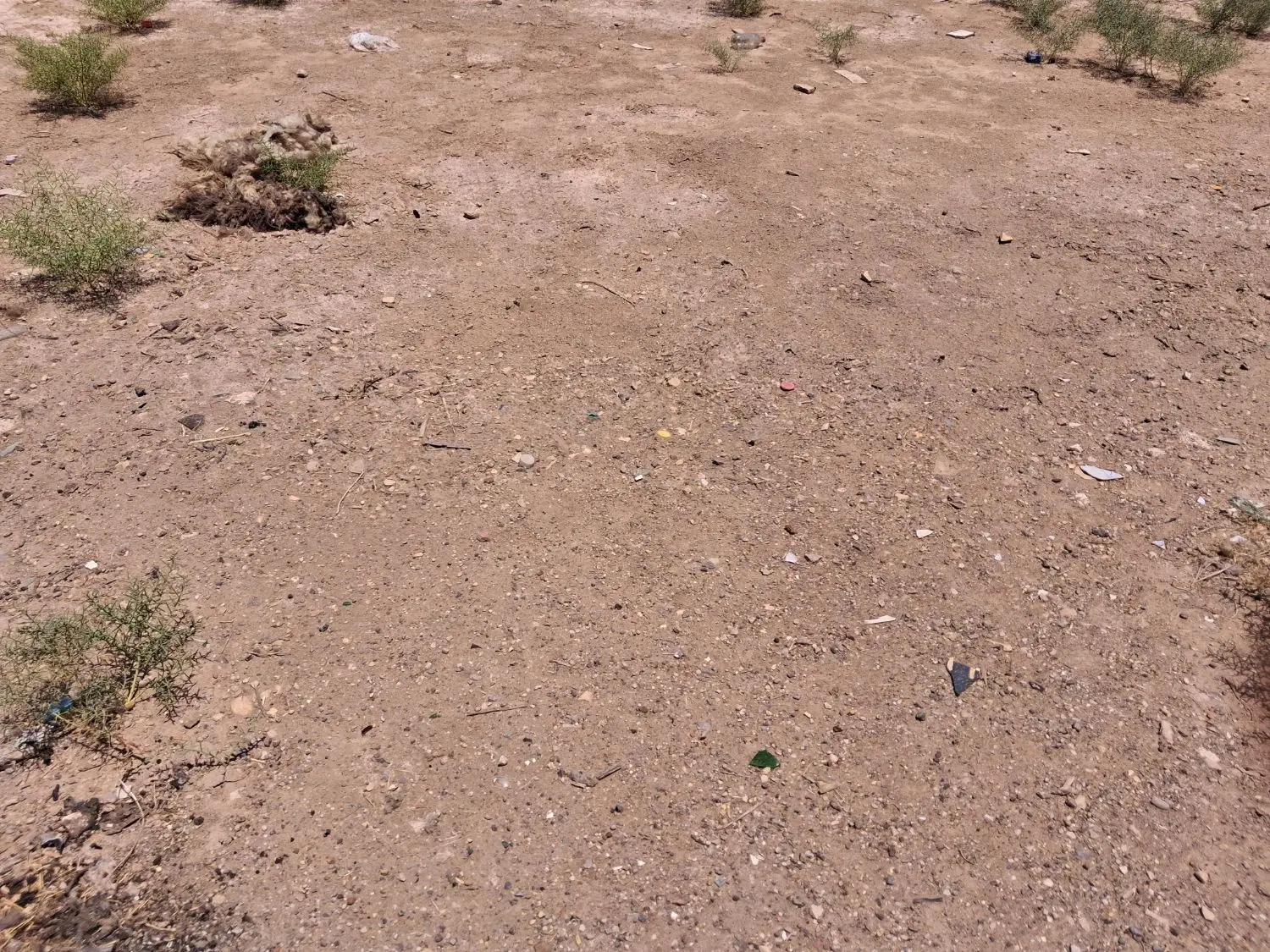 زمین ۲۰۰متری