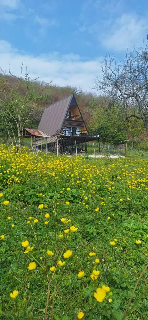 اجاره کلبه سوئیسی در ماسال
