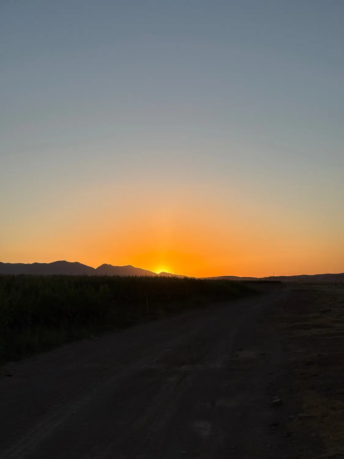 باغ جاده میقان