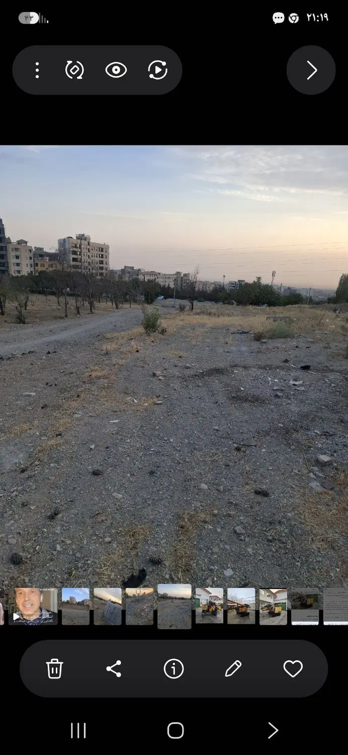 زمین سند تک برگ مشاع شهرزیبا مرادی