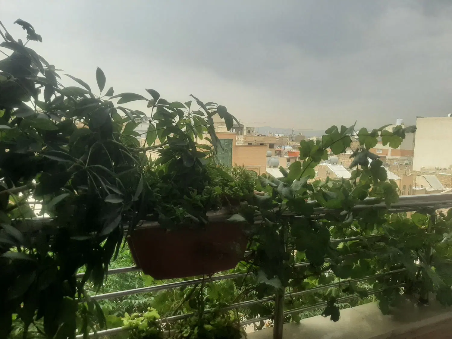 آپارتمان دوطرف نور خوش نقشه تک واحدی بینظیر
