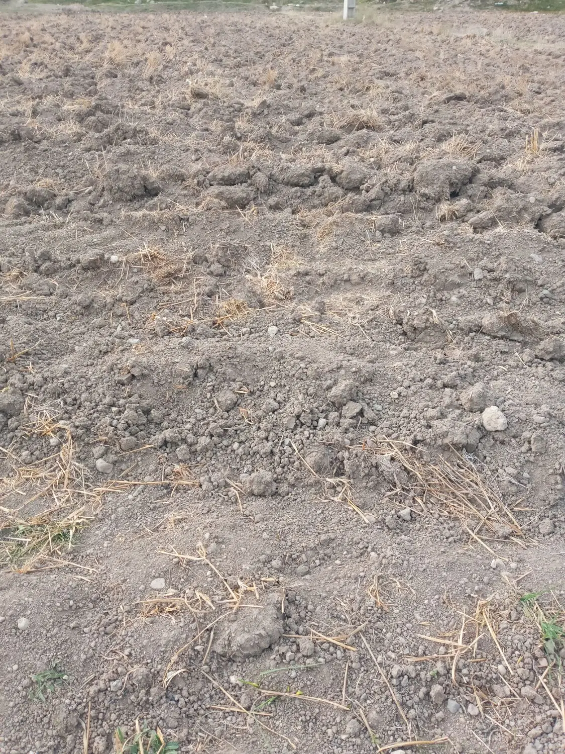فروش زمین روستایی