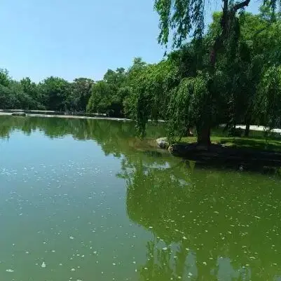 زمین زراعی و تجاری معاوضه