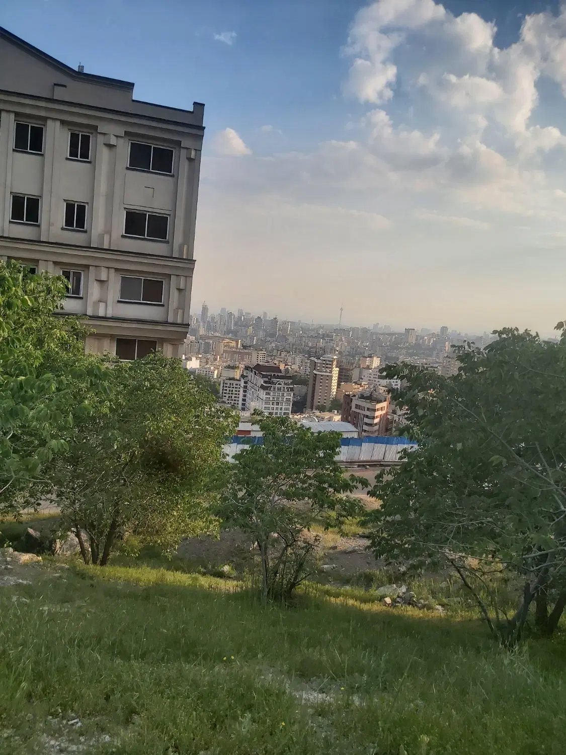 هم خونه