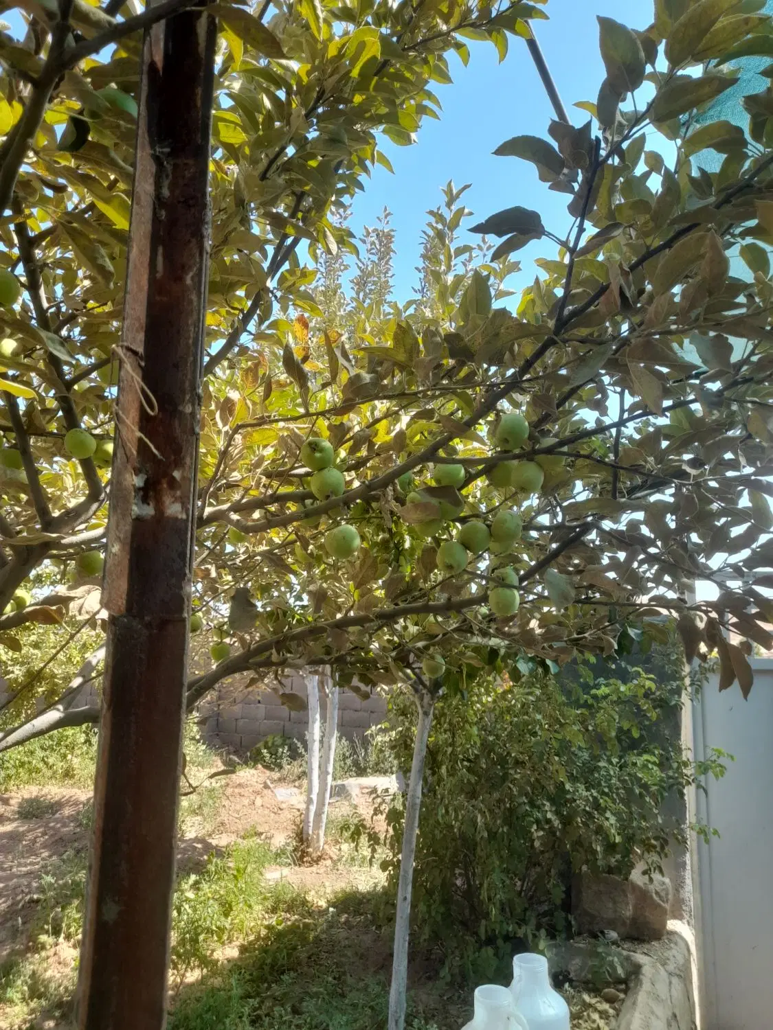 ۱۱۰۰متر زمین ۴۰ متر بنا خانه