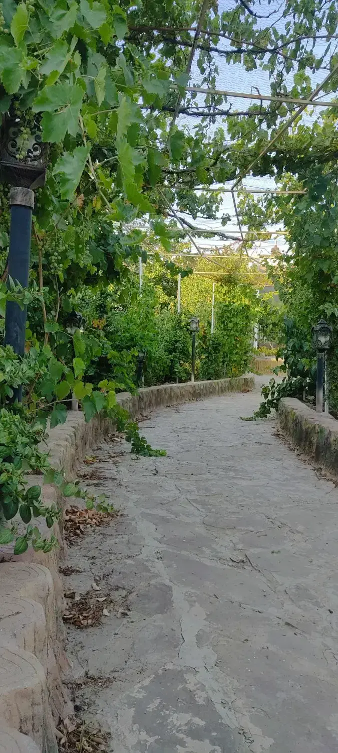 باغ هزار متری کوچه رب زشک