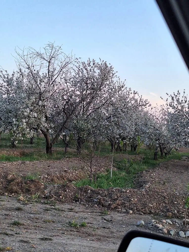 ۱۰۰۰مترباغ‌خوشنام سندتک برگ تهاتر