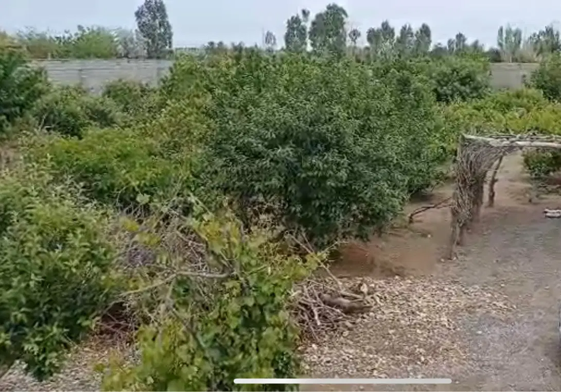خانه باغ۳۰۰۰متری اطراف مشهد