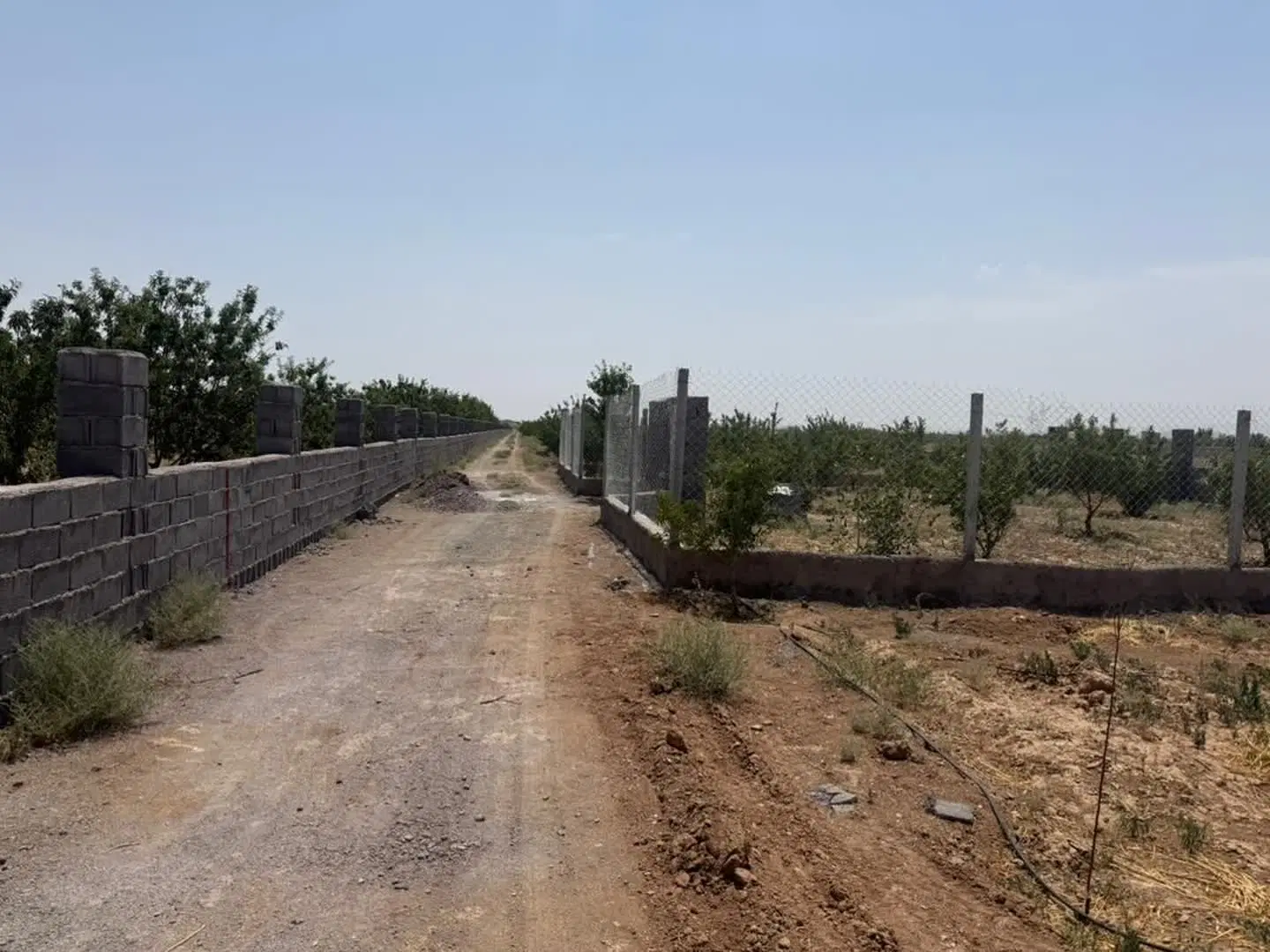 مامونیه زمین باغچه چهاردیواری سند تک برگ