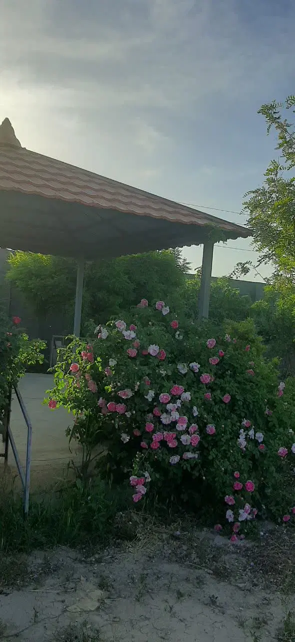 باغ ویلا در ورامین