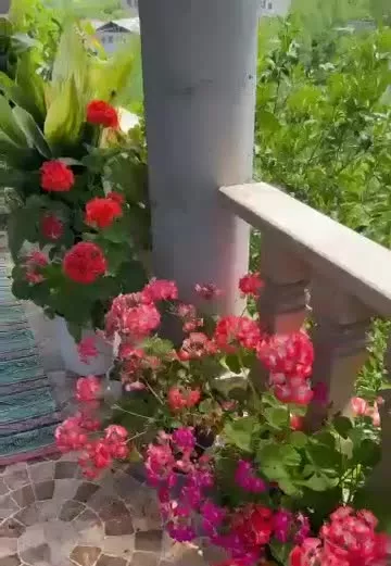 ویلا باغ ۱۱۰ متری لفور