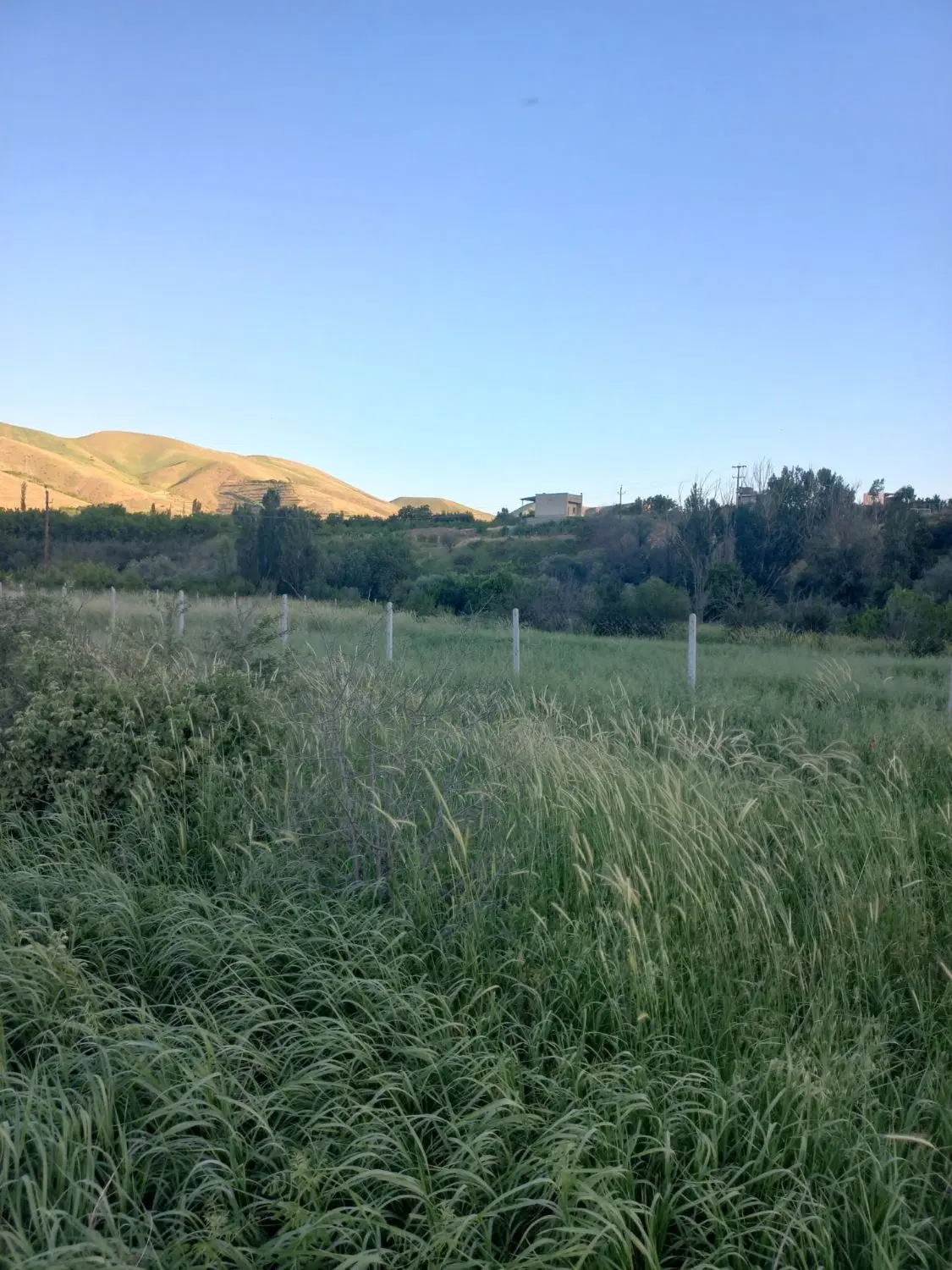 زمین کشاورزی ۱۰۰۰ منر سنددار معاوضه هم دارم