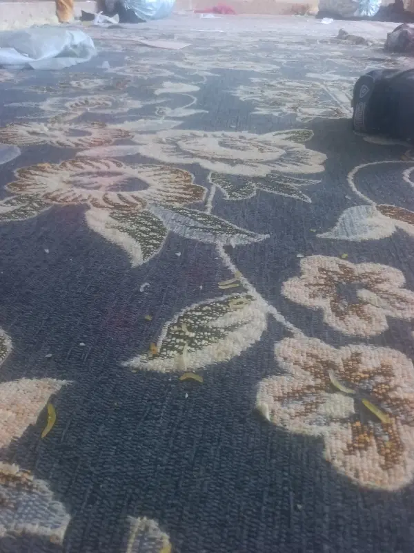 اجاره ساعتی و روزانه