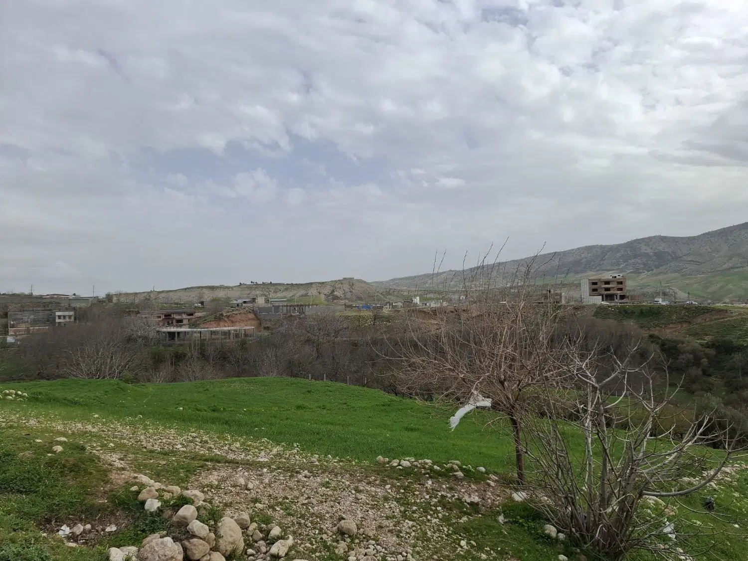 فروش زمین چالسرا