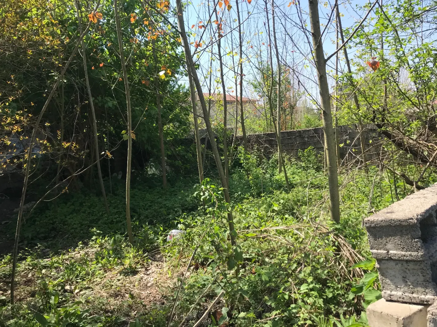 زمین برای ساخت خانه