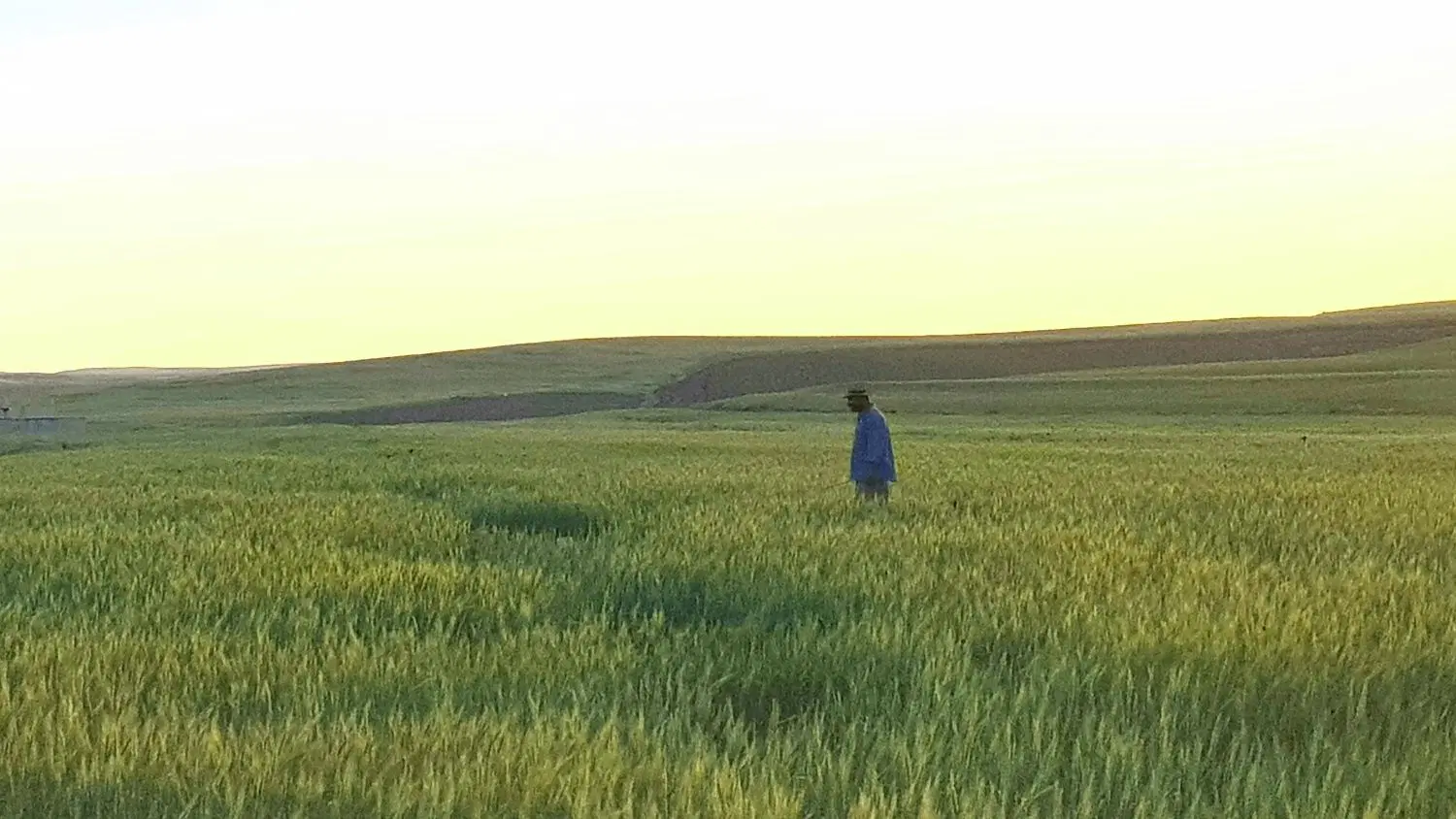 اجاره زمین و چاه آب