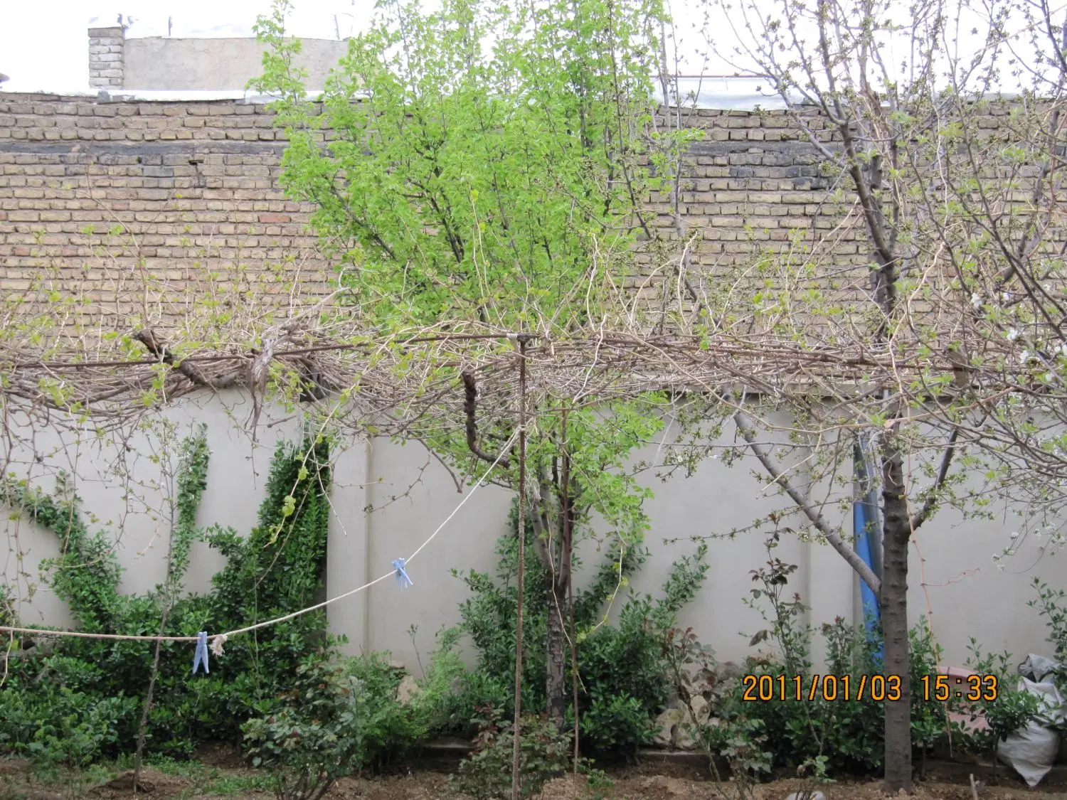 اجاره خانه ویلایی راه جدا.شهرک مدنی فاز۲