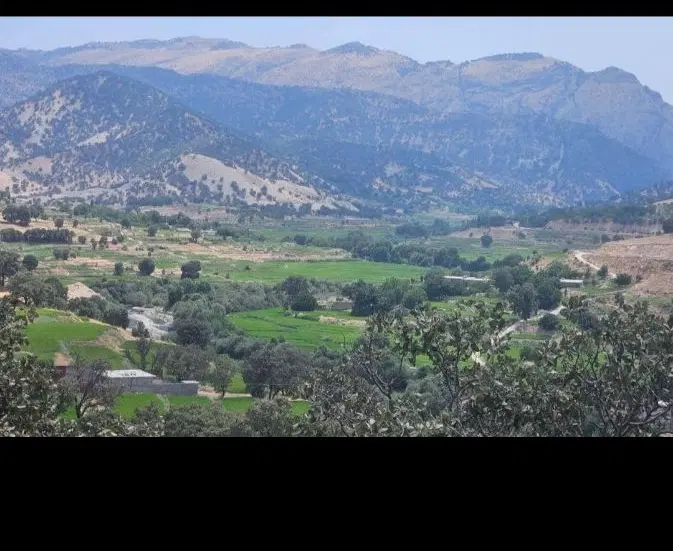 فروش زمین