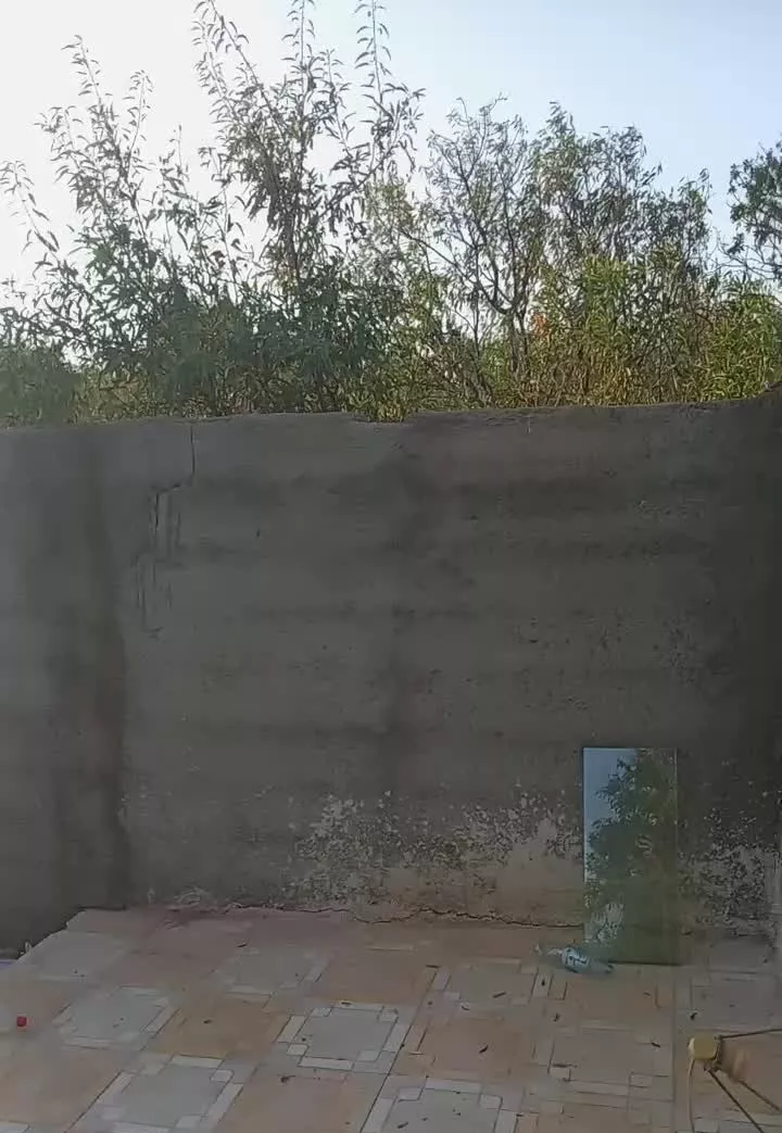 باغ دور دیوار با مساحت 6 من