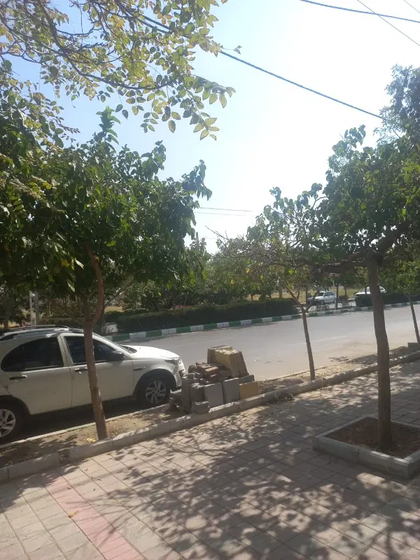 ۲۵۰۰ متر حاشیه صد متری مصلا