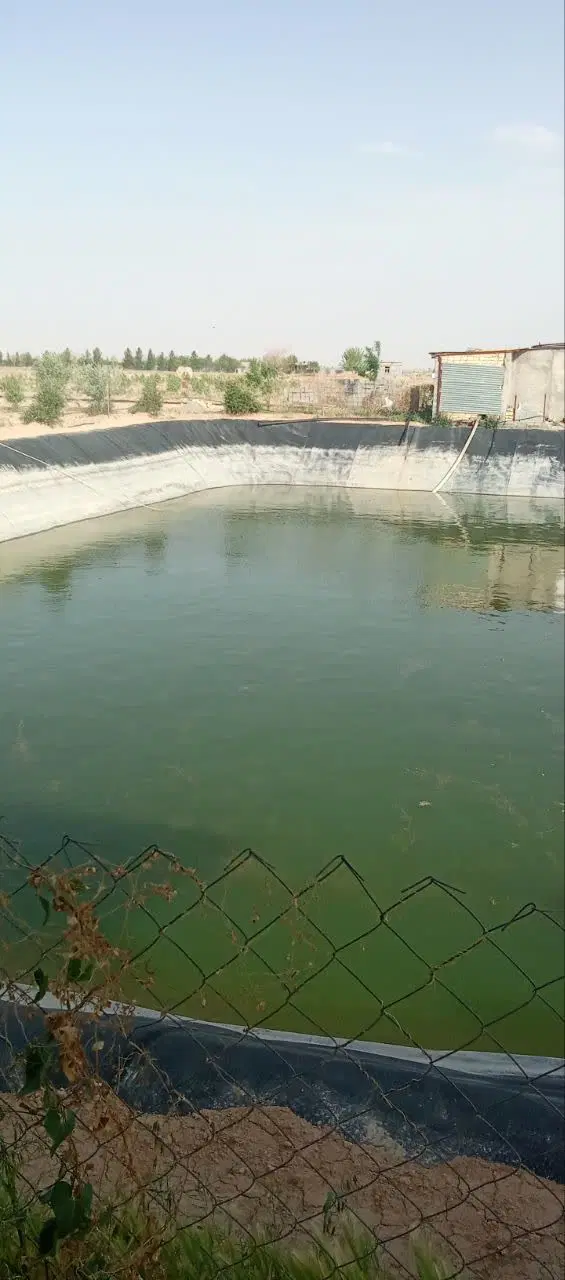 زمین باغی با نهال