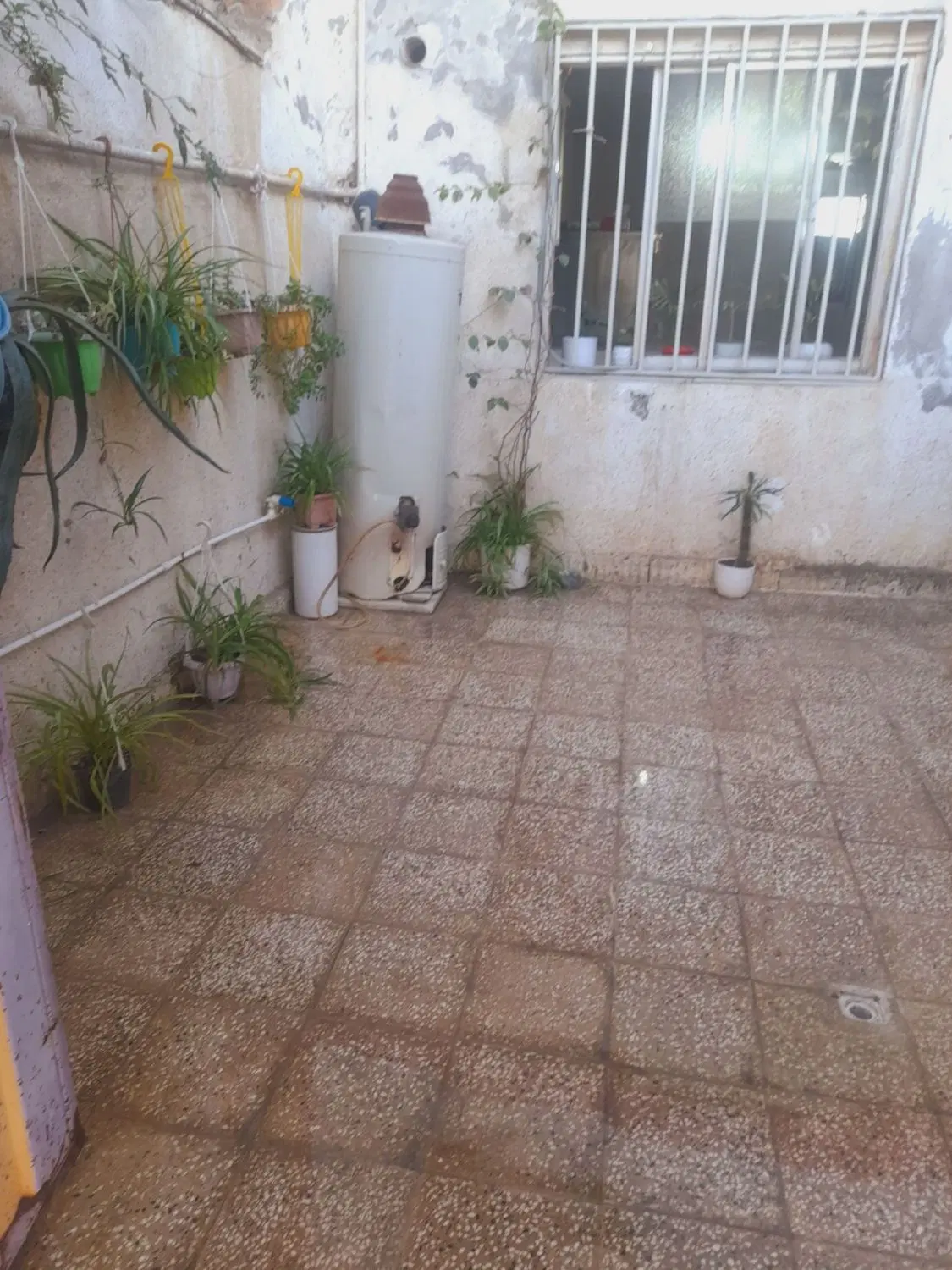 زنگیان حیاط دار فروشی