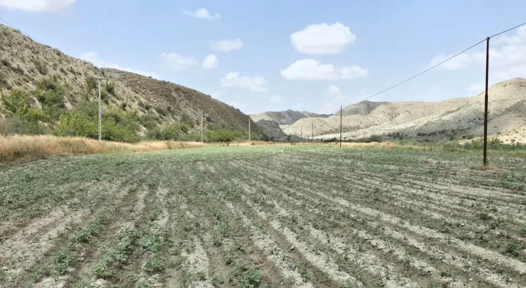 زمین کشاورزی