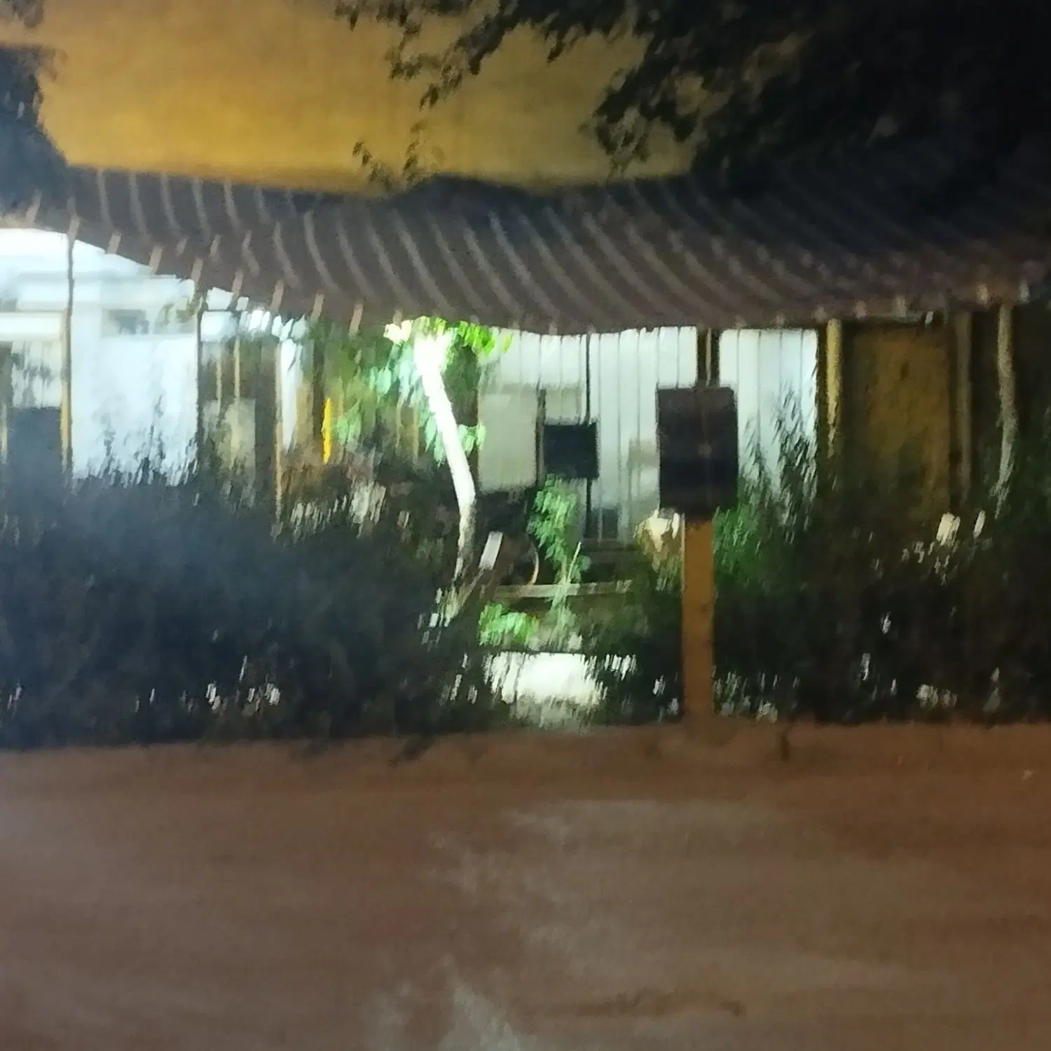 اجاره مغازه خیابان فرعی نیما ولیعصر کیو