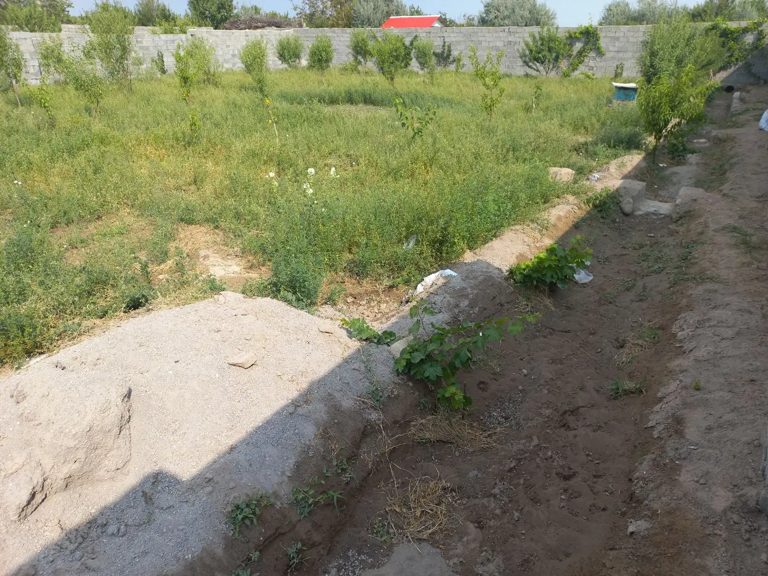 باغ در بغل تراکتورسازی چهاردیوار