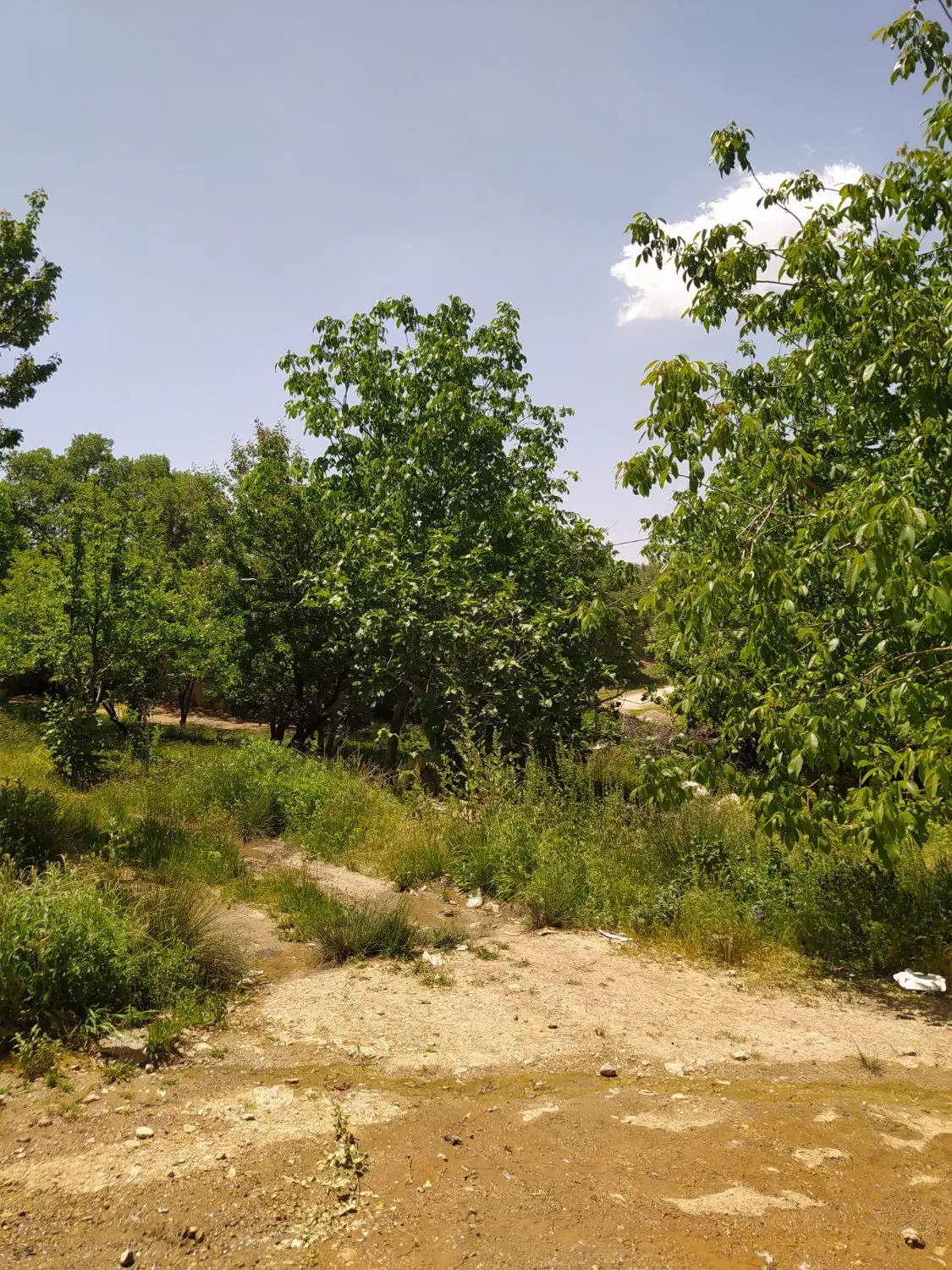 فروش زمین گنجه ای کهنه