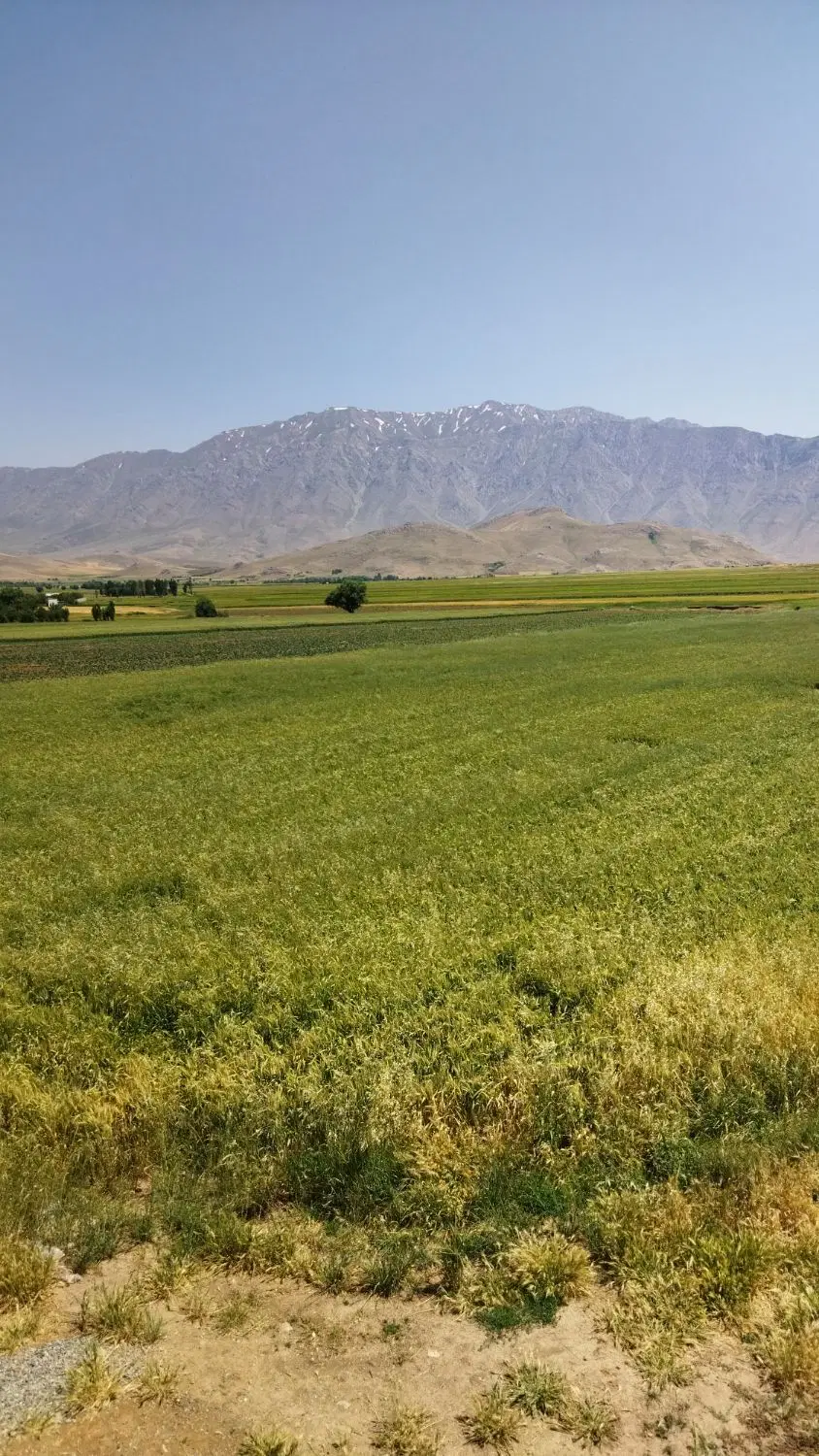 زمین فروشی