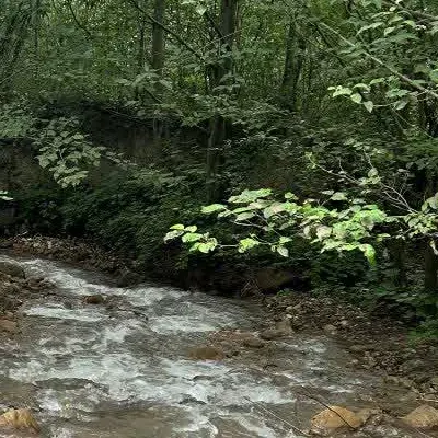 زمین مسکونی روستای زیبای چهارباغ قبل از توسکتان