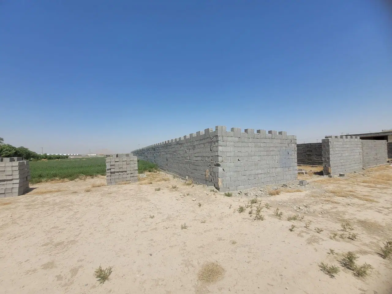 زمین باغی