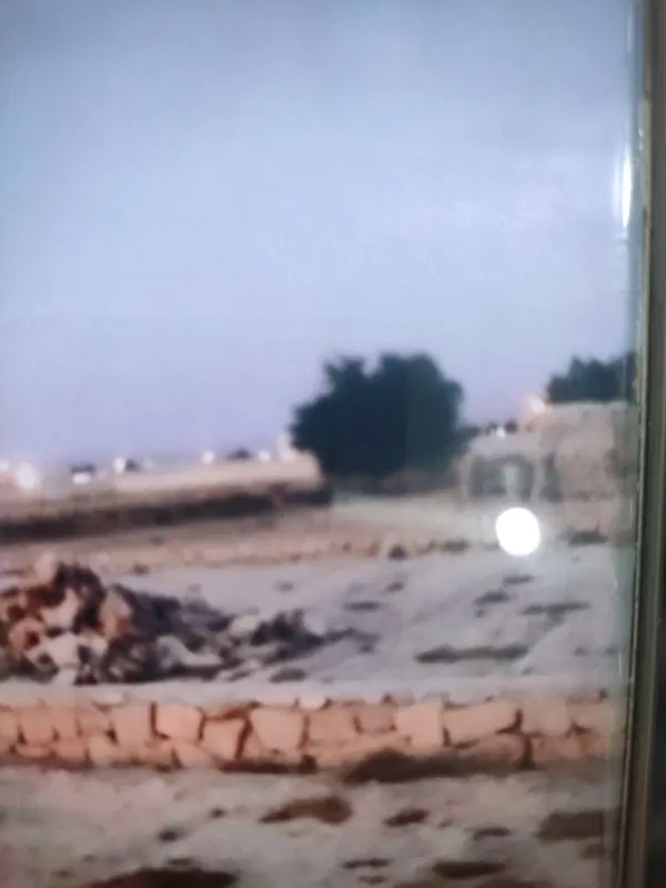 زمین باغی