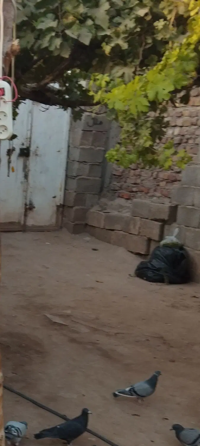 زمین درشهرک سیدی