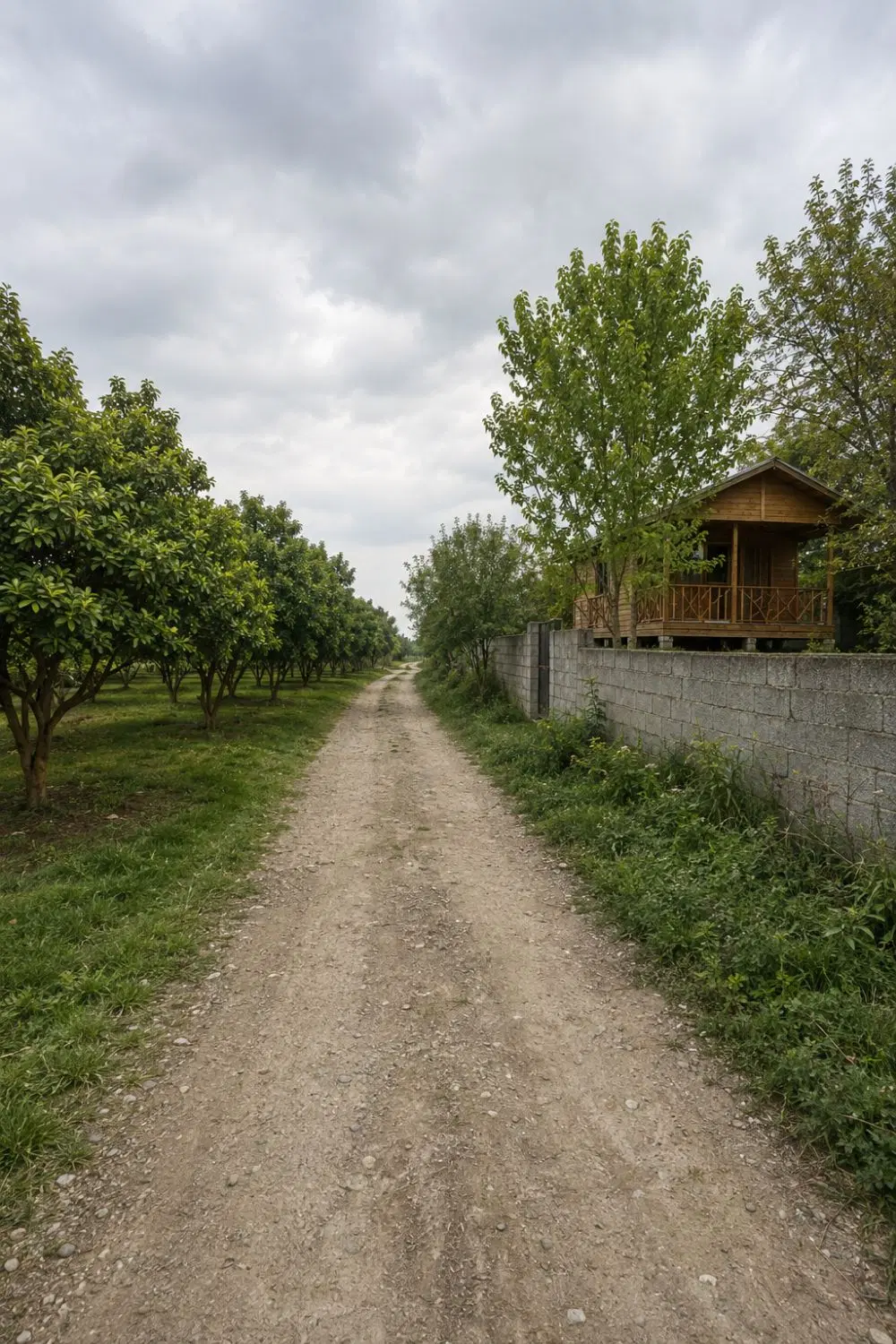 ۳۰۰متر زمین  مناسب کلبه سوئیسی