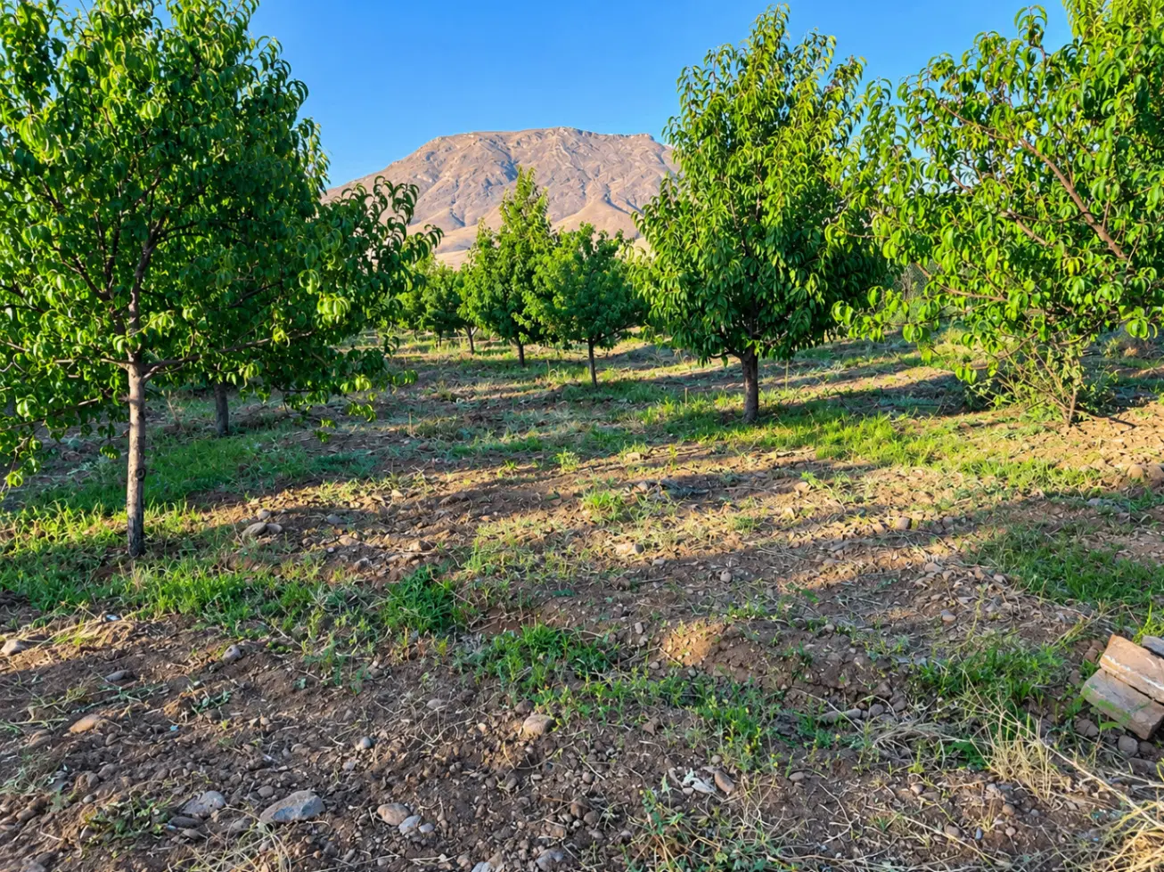 زمین بان و گلشن آباد