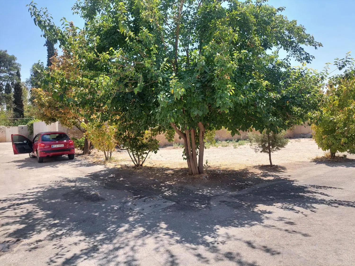 ویلایی محمودیه