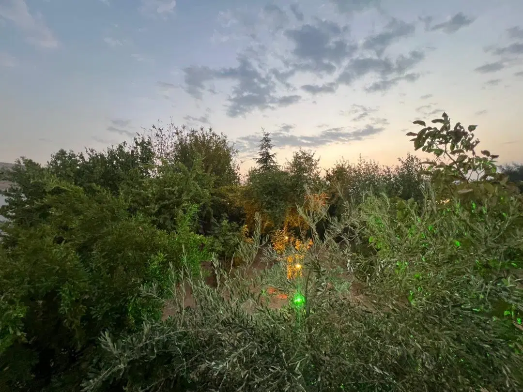 باغ شهری شهرک بهاران(تنگ جلاب)