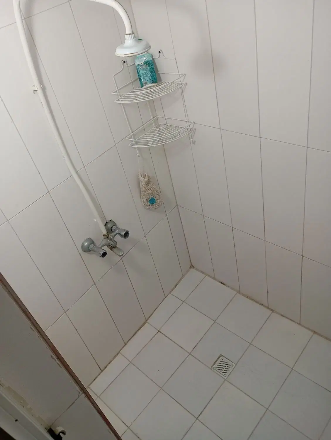 اجاره سوئیت روزانه شبانه