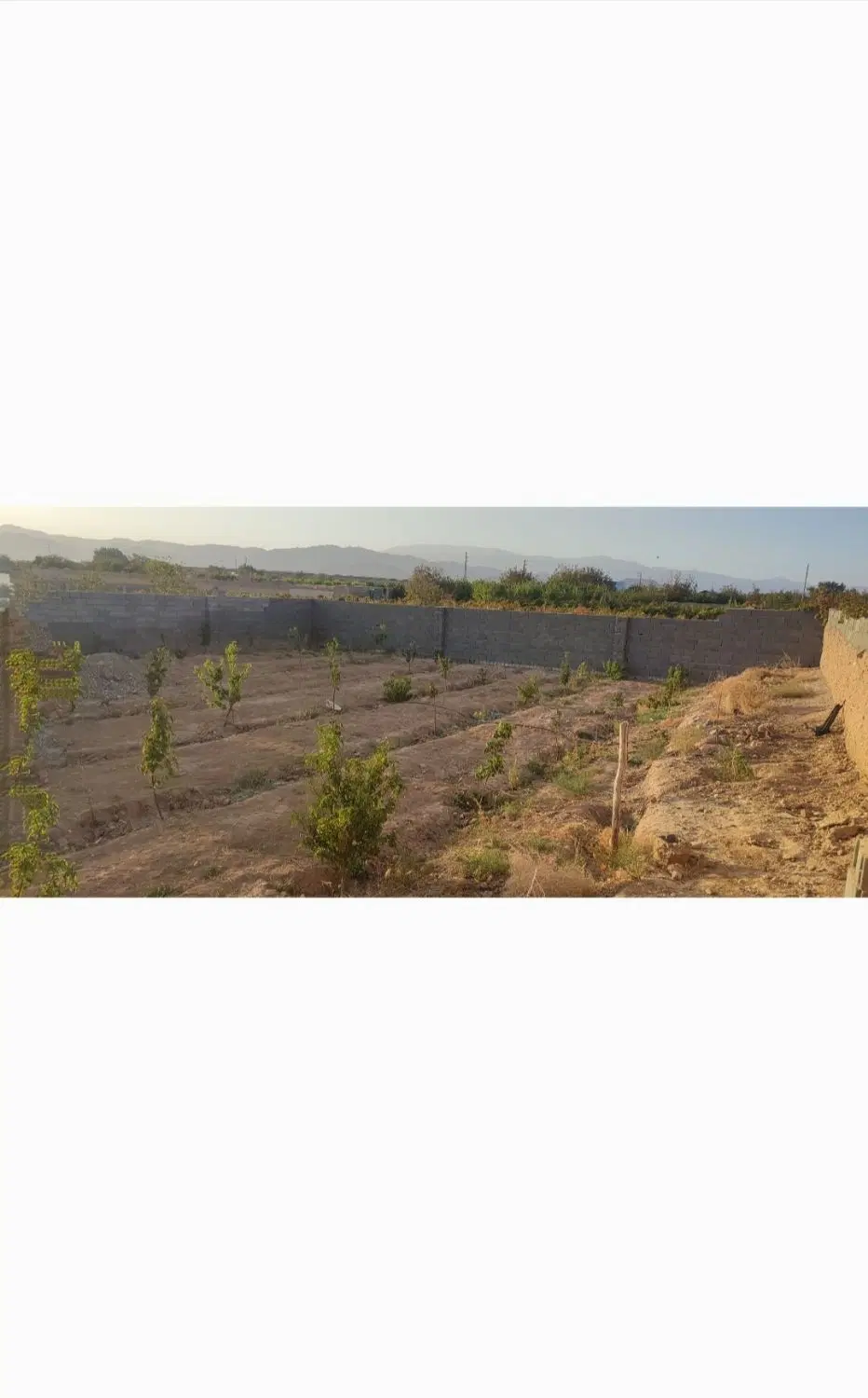 باغی دنج و زیبا در نزدیکی شهر