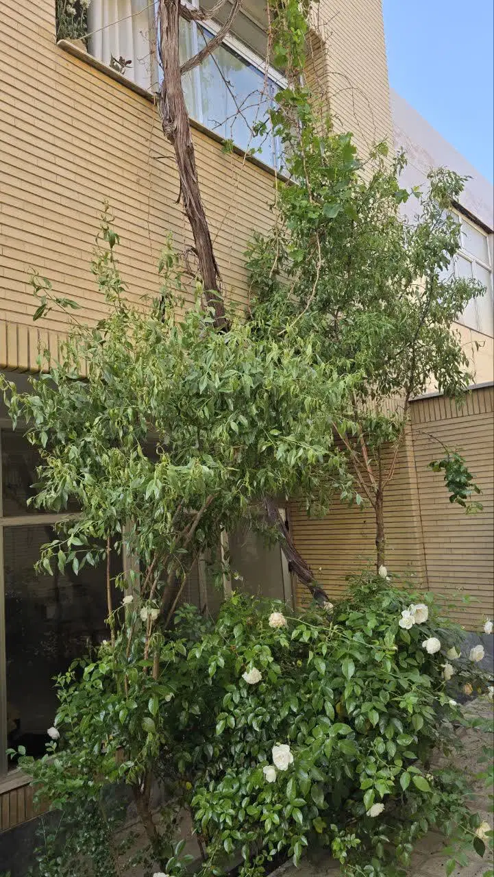 رهن و اجاره